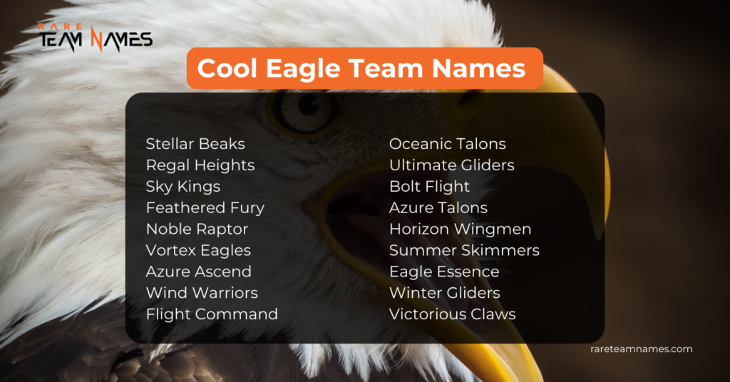 Cool Eagle Team Names