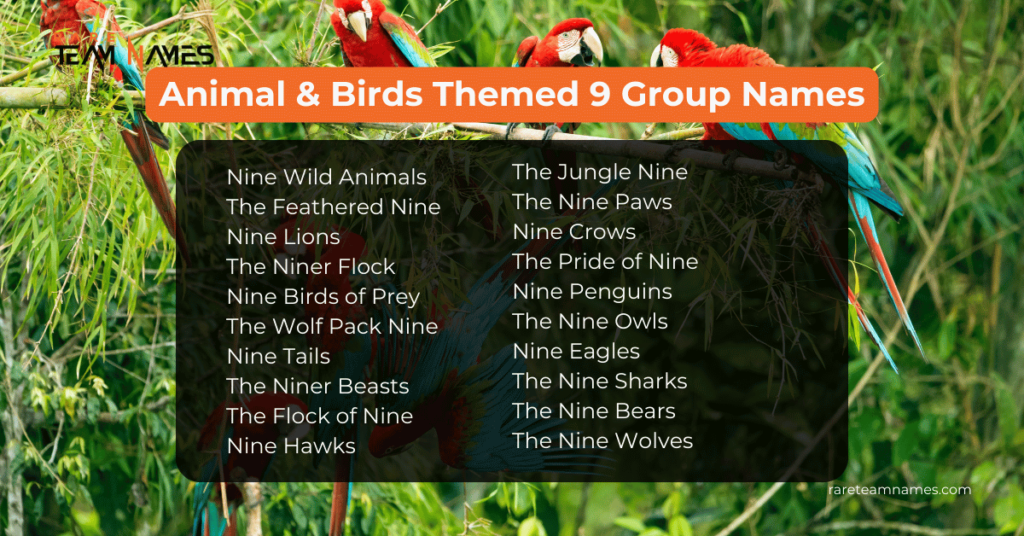 Animal & Birds Themed 9 Group Names