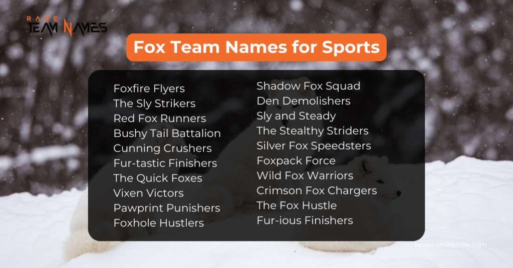 Fox Team Names for Sports