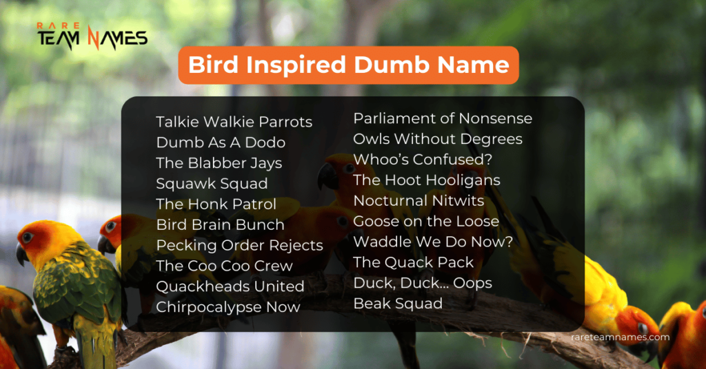 Bird Inspired Dumb Name