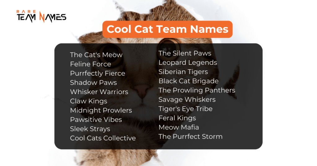 Cool Cat Team Names