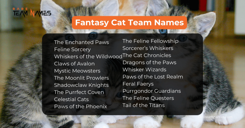 Fantasy Cat Team Names